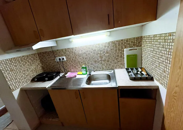Vlnena Apartmans 布尔诺