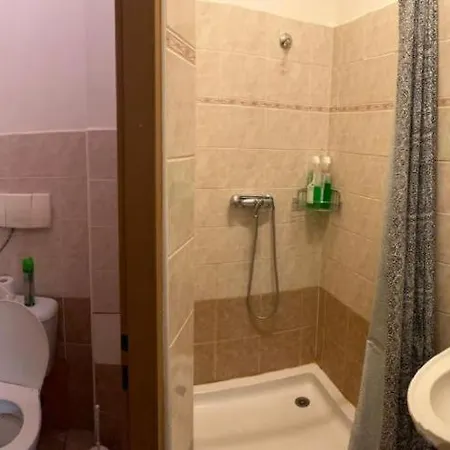 Vlnena Apartmans * Brno